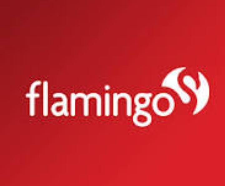 Crédito para electrodomésticos en Almacén Flamingo con cupo brilla